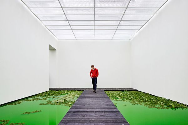 Nature took over in the Swiss exhibition space | Ólafur Elíasson
