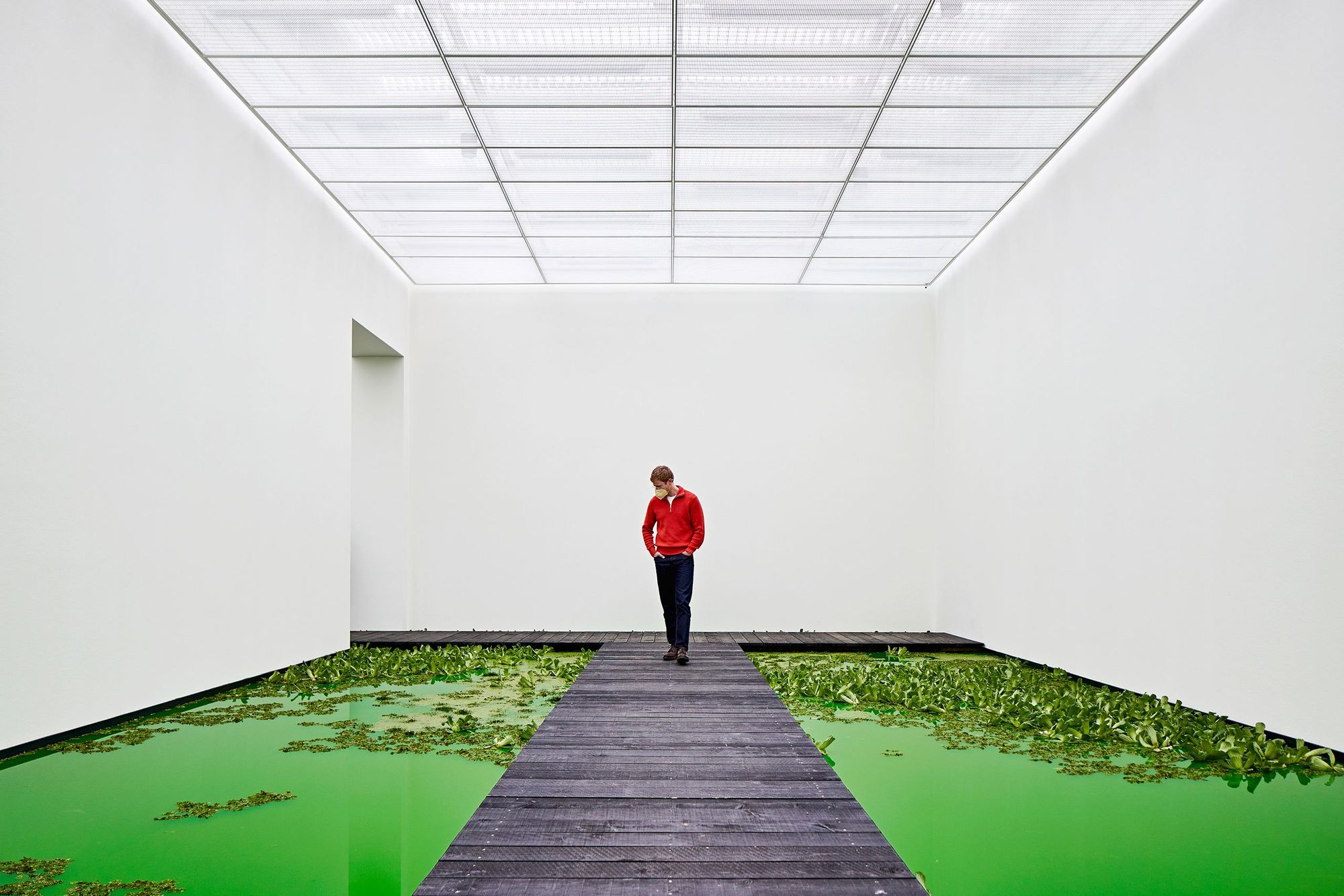 Nature took over in the Swiss exhibition space | Ólafur Elíasson