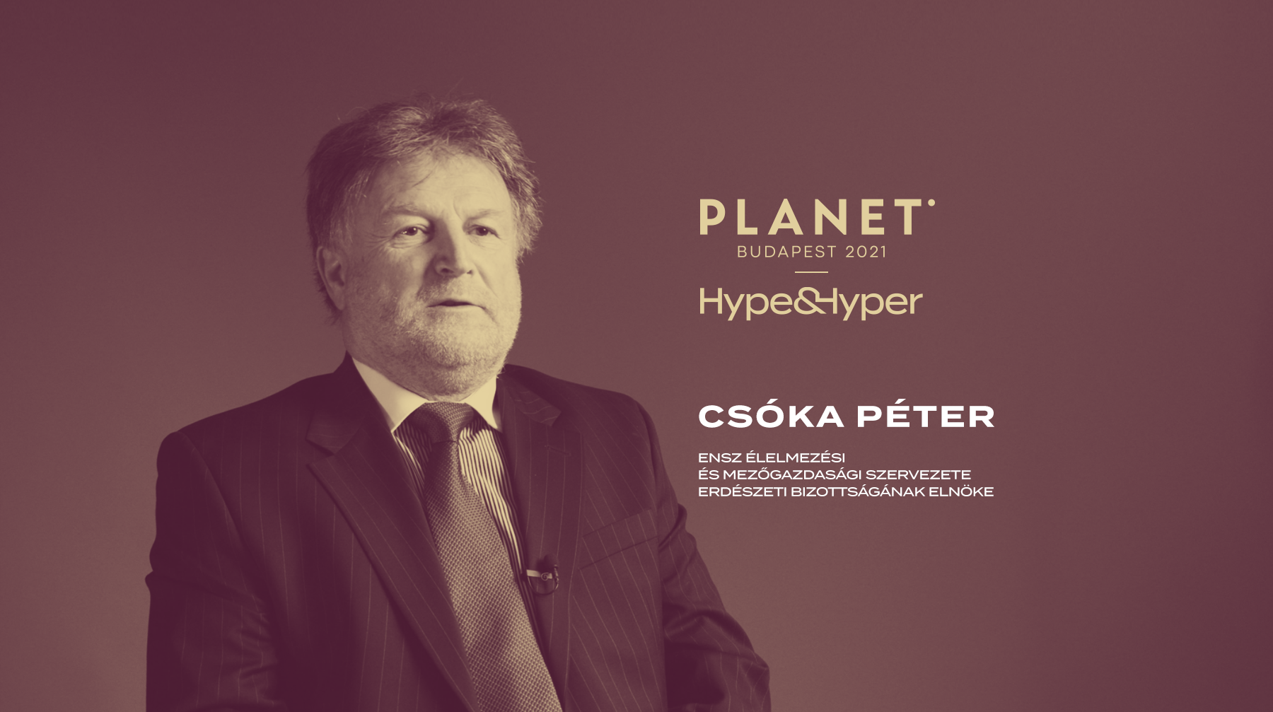 Using wood sustainably is the most environmentally friendly solution | Interview with Péter Csóka, Forester