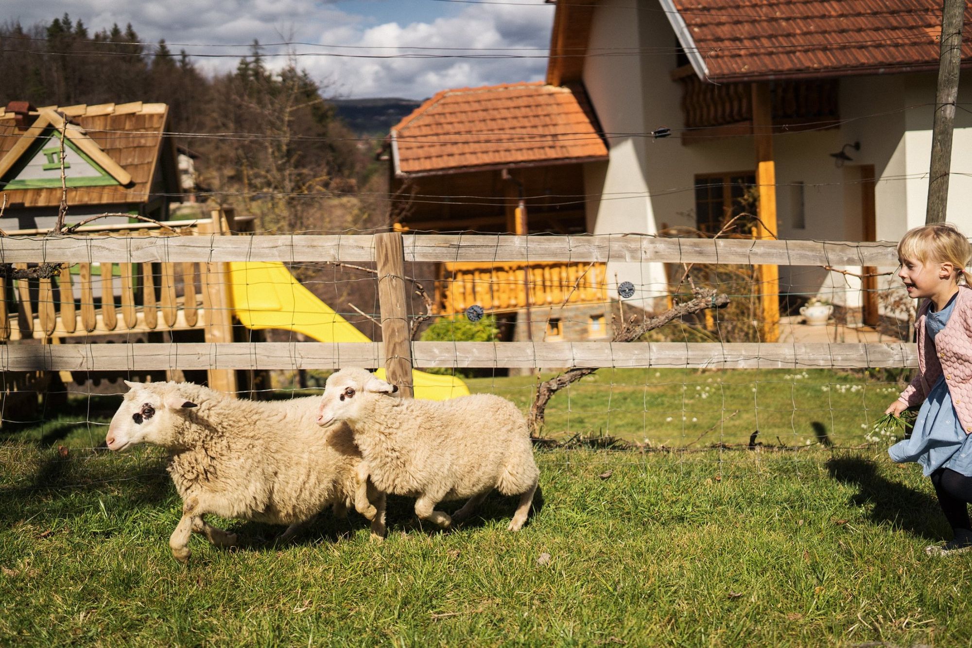 A legszebb farmok Kelet-Európában | TOP 5