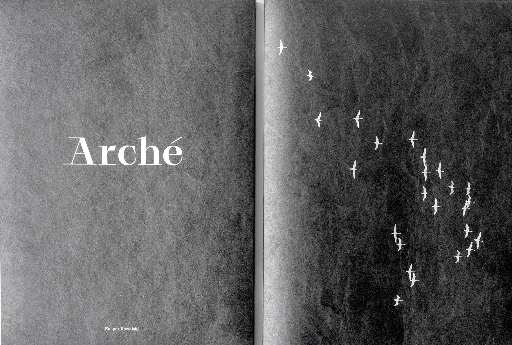 Arché, or returning to the beginnings of culture | Kacper Kowalski’s photobook
