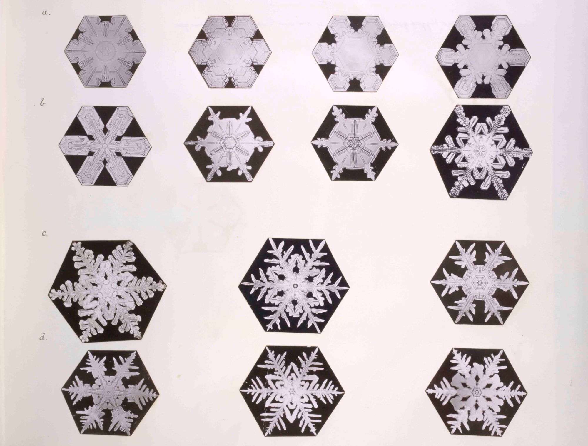 Watch snowflakes in the winter heat!