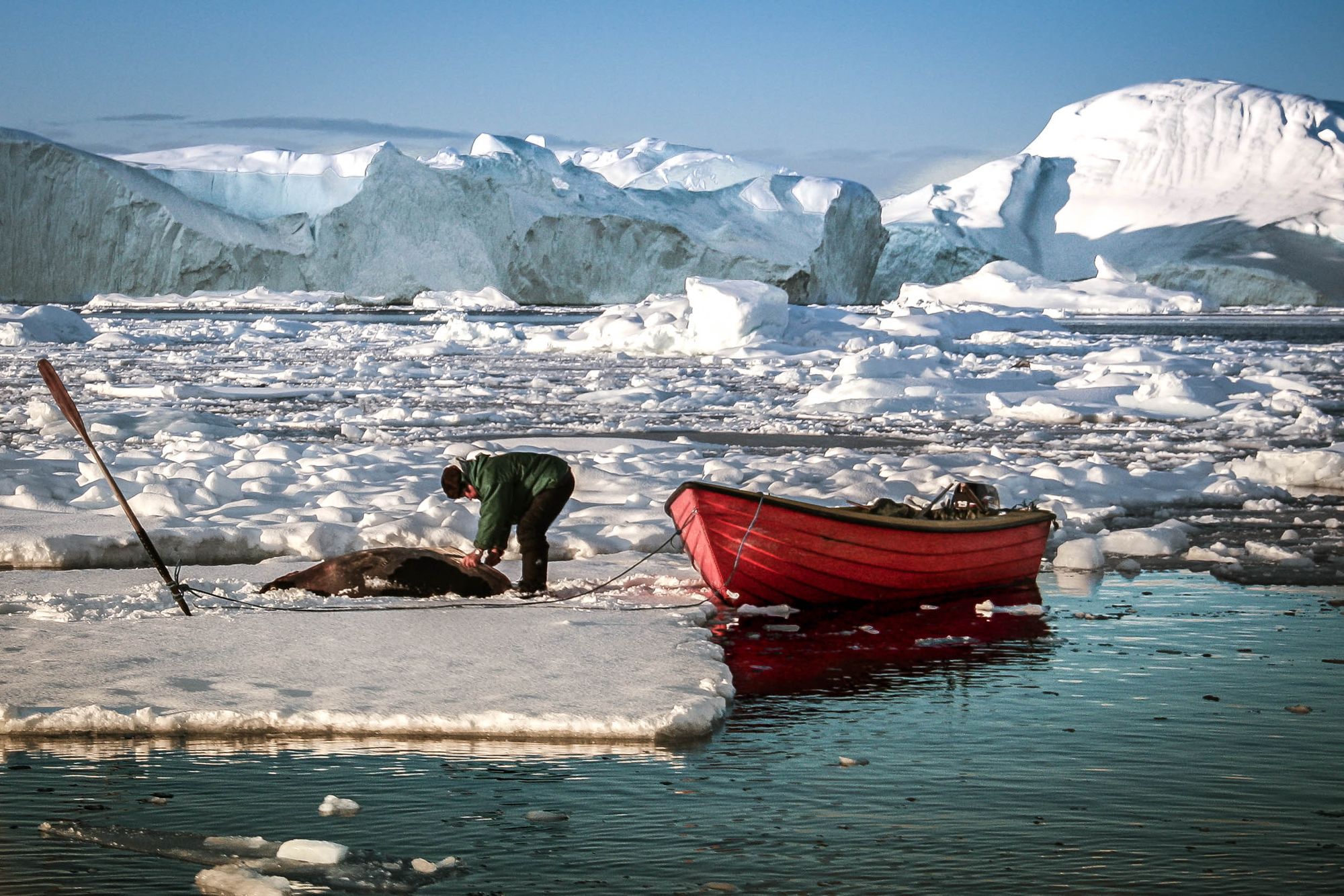 Where Even the Silence Listens – Greenland May Become the World's Next Flashpoint