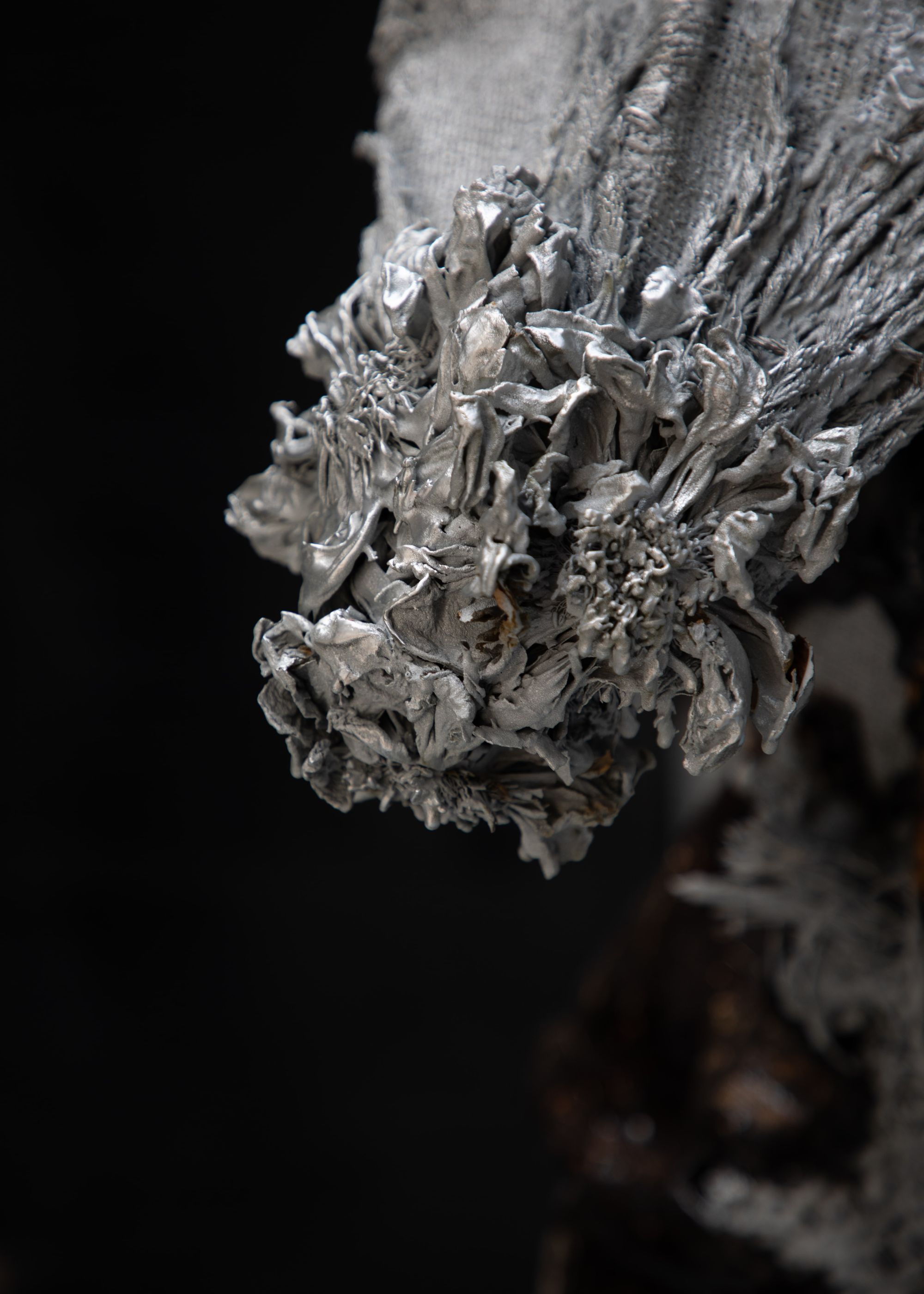 Back to the roots | Conversation with Marcin Rusak Studio