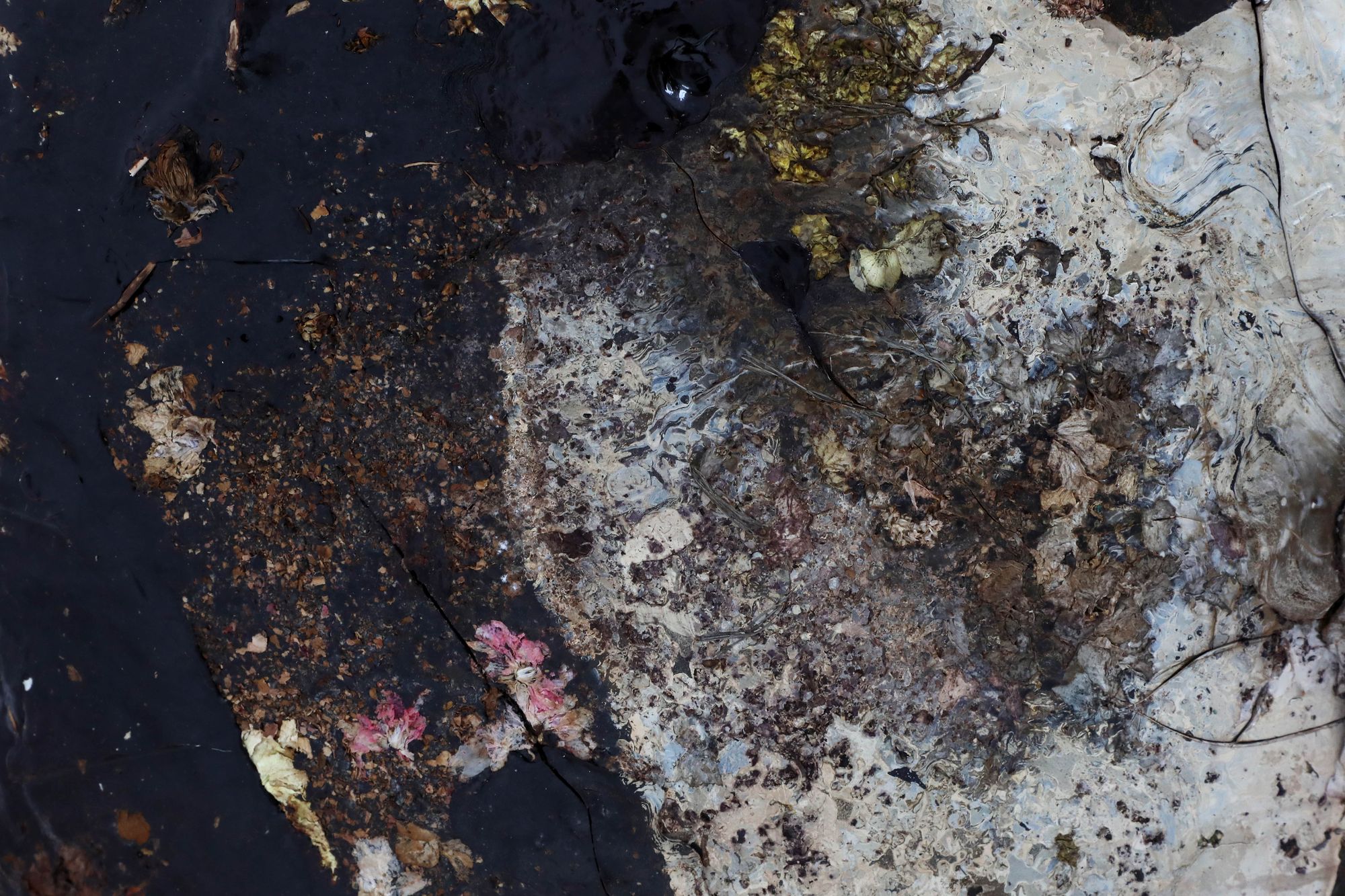 Vissza a gyökerekhez | Beszélgetés a Marcin Rusak Studióval