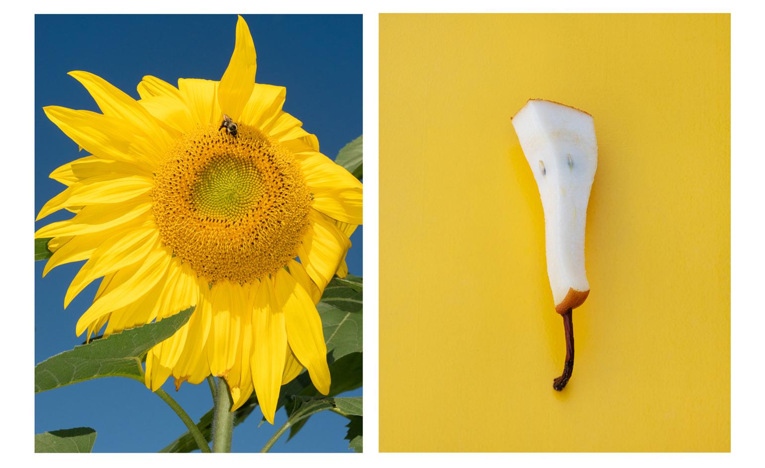 Ukrainian photographer helps children's hospital in Kyiv by selling prints