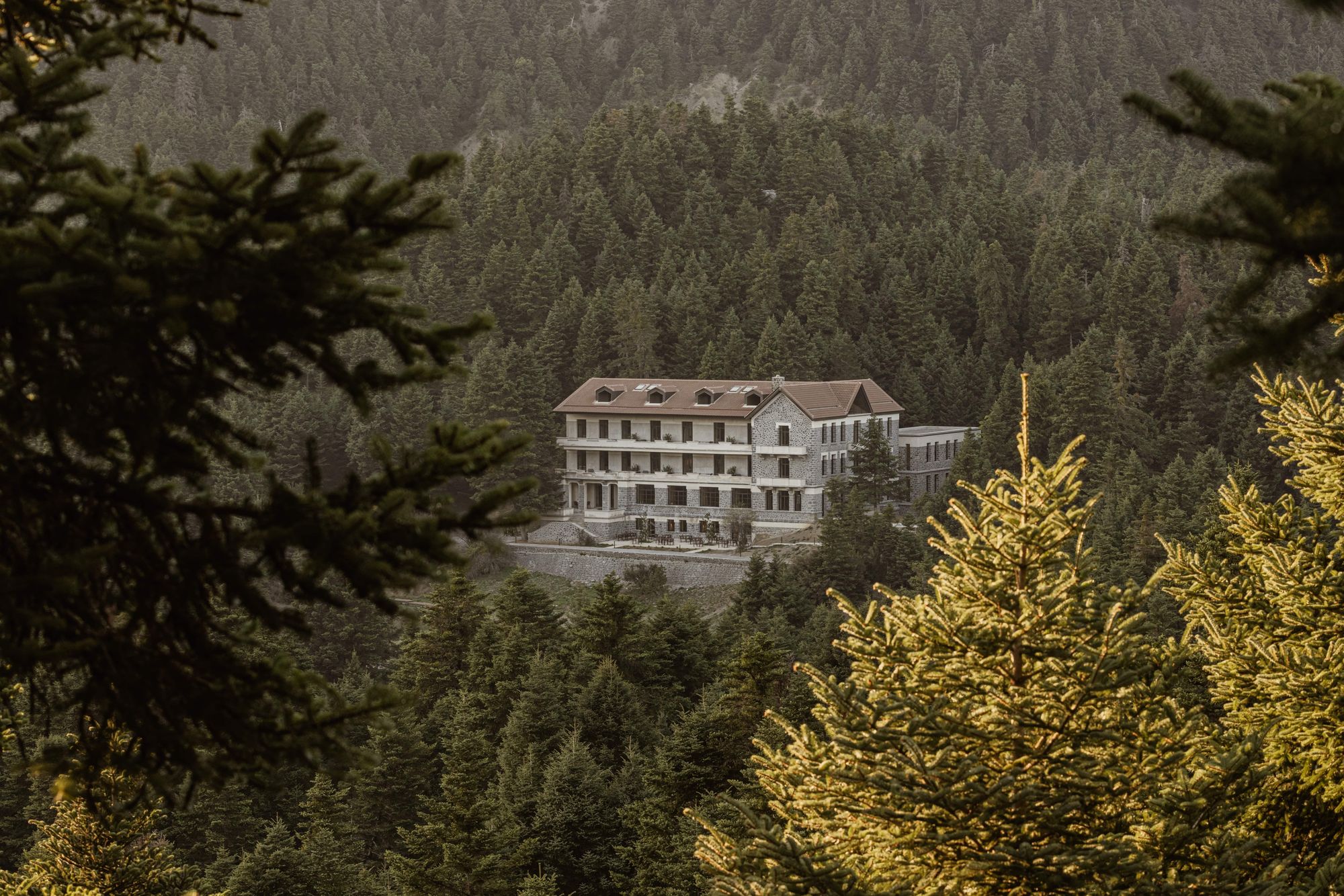 The New Rhythm of Time in the Greek Mountains – MANNA Arcadia