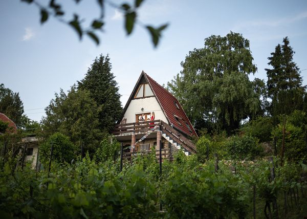 Itt az ország legkisebb vinotékája! | Borbolt a völgyben