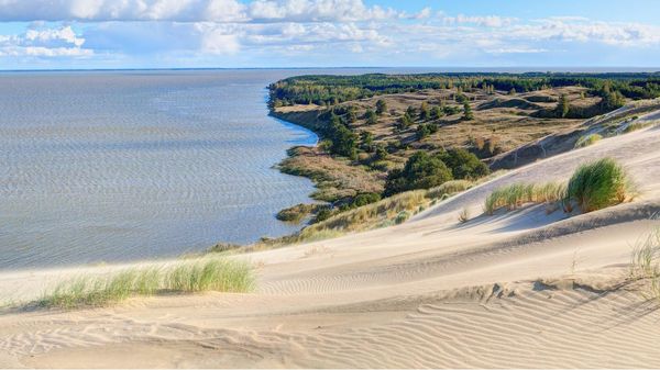 Dunes and pine trees on the Curonian Spit