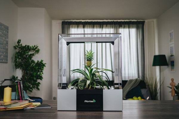 A Czech startup would revolutionize home gardening: here is Plantee!