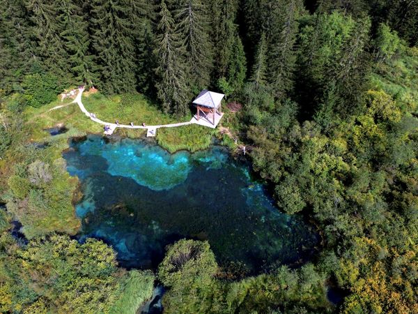 Where the lake never freezes | Zelenci Nature Reserve