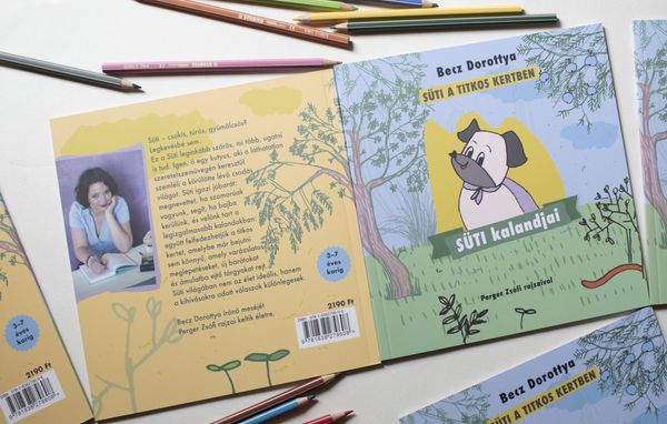 Zsófi Perger illustrated a debut writer's children's book