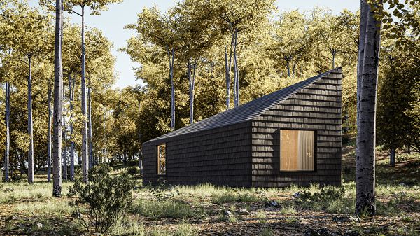 Marc Thorpe designs eco-conscious cabin in the Carpathians