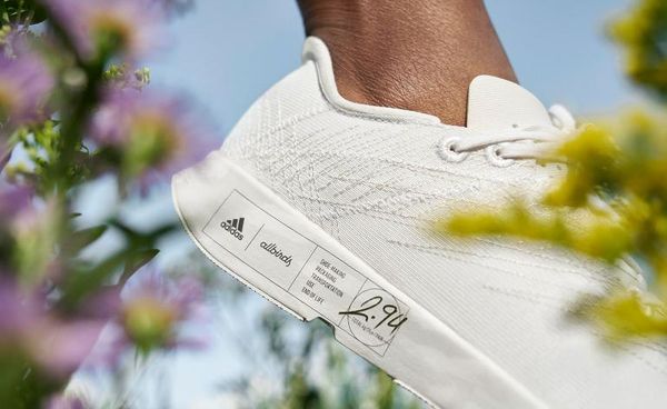 Sneakers for eco-conscious customers | Adidas x Allbirds