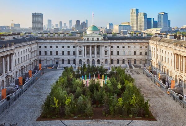 Es Devlin plants a forest into the courtyard of London’s Somerset House