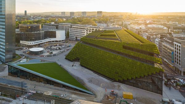 Elkészült Európa legnagyobb zöldfala