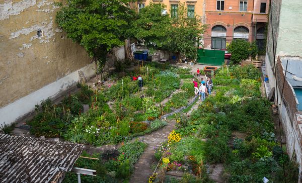 Kelet-Európa legszebb közösségi kertjei | Top 5