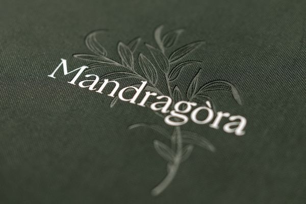 Hospitality with heart and soul | The revamped Mandragóra Restaurant