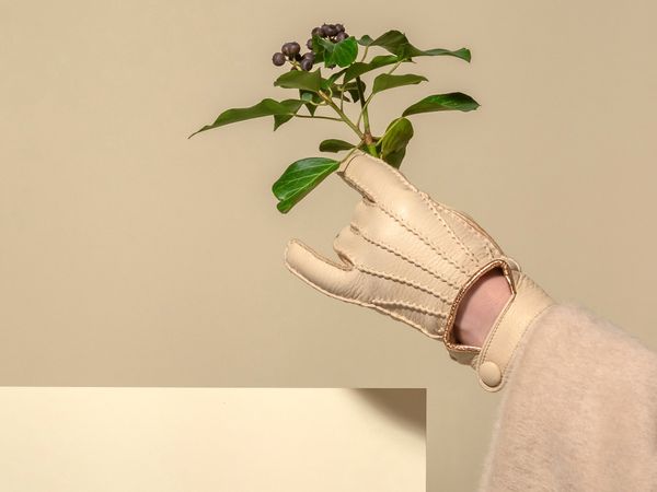 Subtle elegance in the form of gloves | AIAIÉ x Karma Pécsi Kesztyű