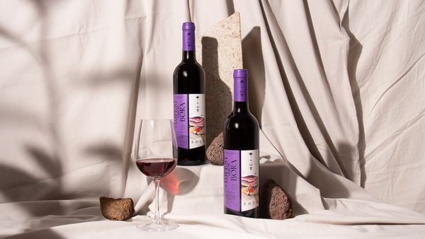 The Wine of Újpest 2020