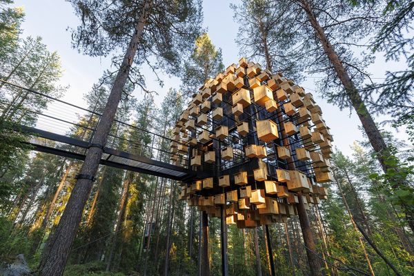 Bjarke Ingels Group's “Biosphere“ treehouse hotel floats among 350 bird houses
