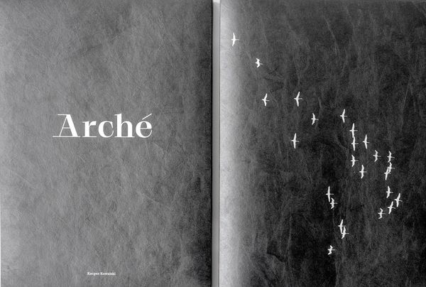 Arché, or returning to the beginnings of culture | Kacper Kowalski’s photobook