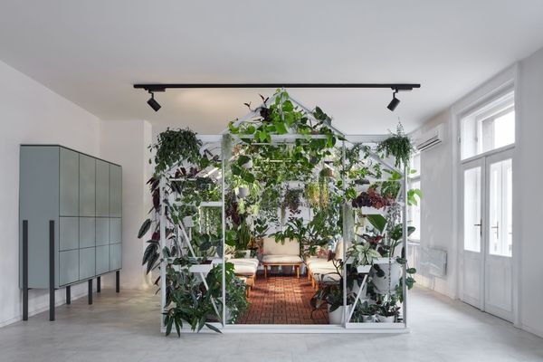Indoor Eden—Poetizer’s new office in Prague