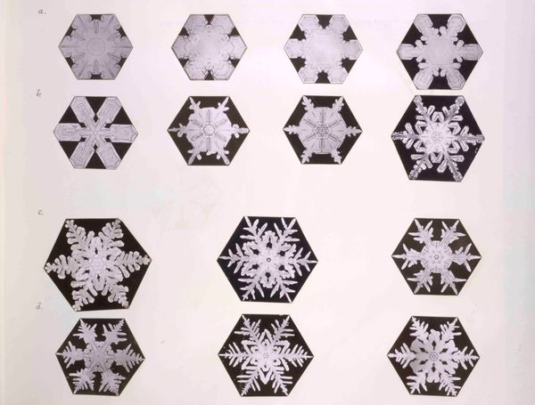 Watch snowflakes in the winter heat!