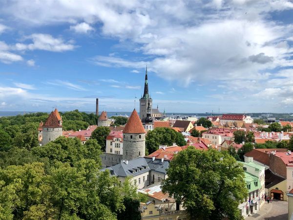 How did Tallinn become the greenest city in Europe in 2023?