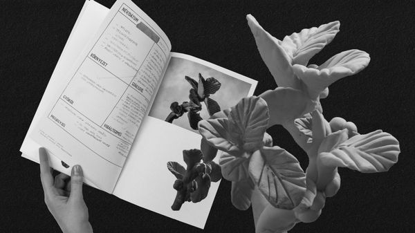 What happens if we model people in a plant’s image?—A visual experiment by Soma Gonda