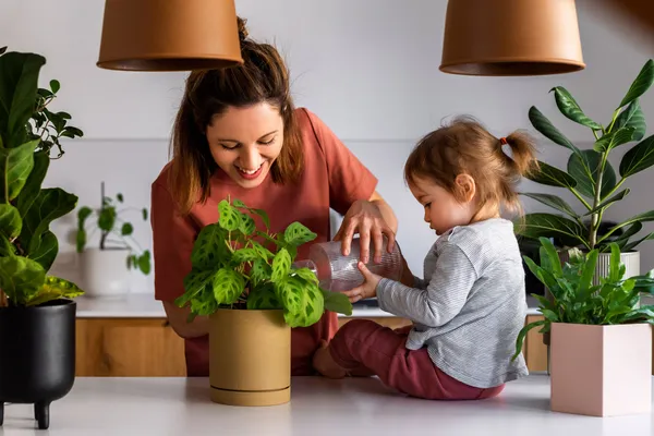 Brighten up the days spent at home | Krate