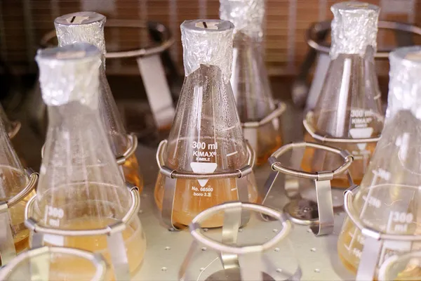 How to save the life-giving soil | Phylazonit