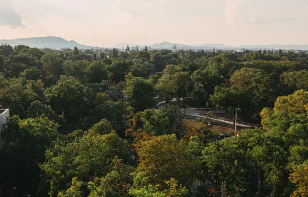 Essence of Hungary | A walk in the park of history: public gardens in Budapest