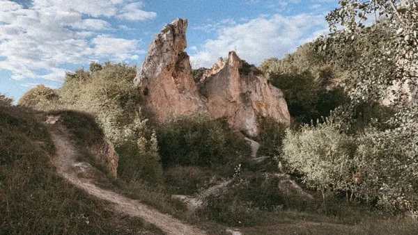 Trip Vibes | Pilisborosjenő, Hungary