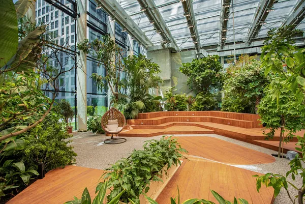 Tropical ecosystem in a Polish office