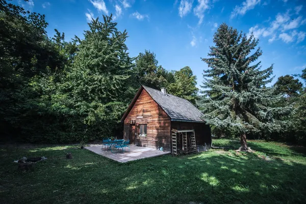 Fill yourself with creative energies | Cabin & Canvas