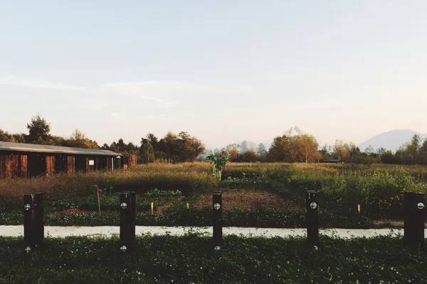 Rakova Jelša park | Ljubljana, Szlovénia