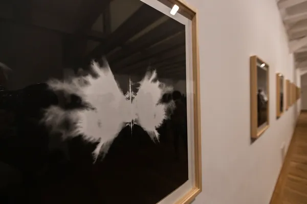 Photographs mirroring the Rorschach test
