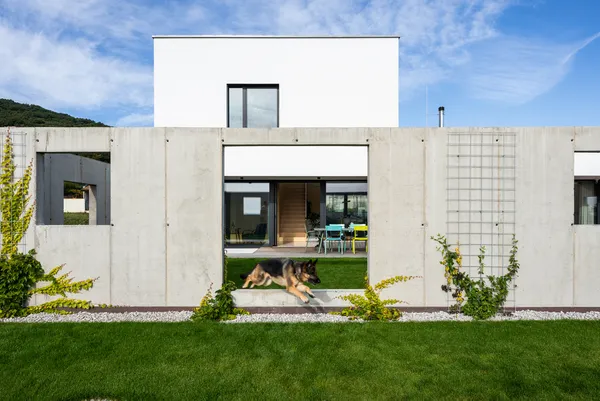 Pet-friendly luxury apartment by Sadovsky & Architects