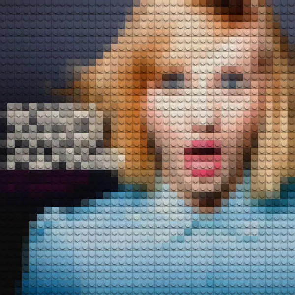 LEGO covers