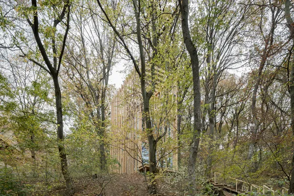 Luxury cabins in the treetops | TreeHouses