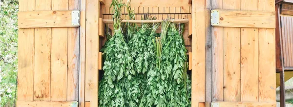 Meditation in the middle of a herb garden | Maacraft x AU Workshop