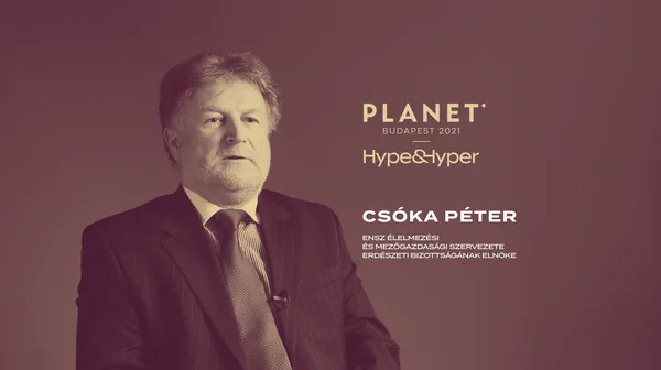 A fa fenntartható felhasználása a legkörnyezetbarátabb megoldás | Interjú Csóka Péter erdésszel