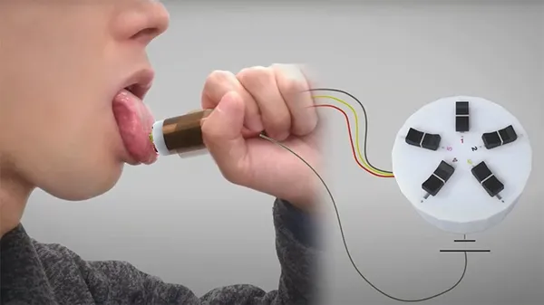 Tasting without food
