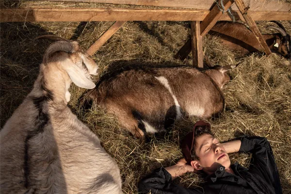 "Each goat has a name here"