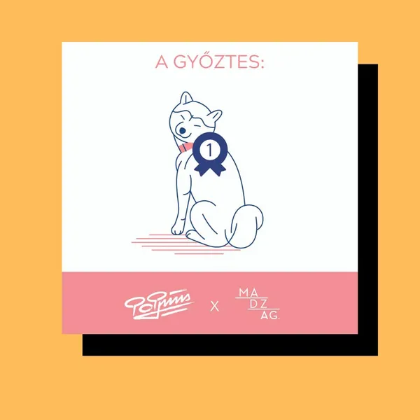 Shiba inu pins for everyone! | POPpins x Madzag