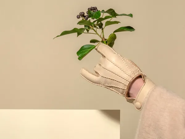 Subtle elegance in the form of gloves | AIAIÉ x Karma Pécsi Kesztyű