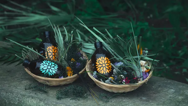 Palackba zárt egészség | Vigo Kombucha