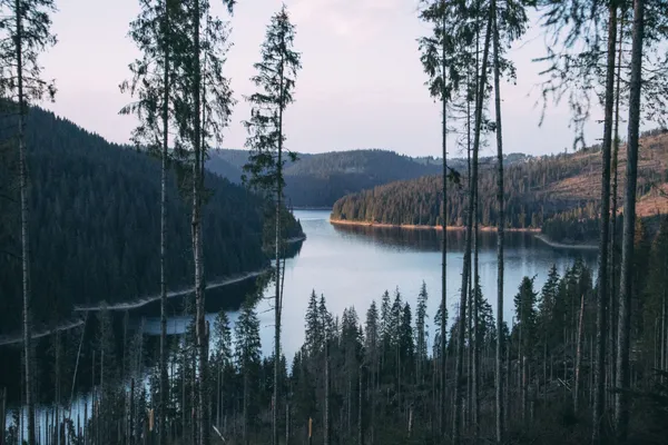 Chill & slow fesztivál az erdélyi hegyekben | Wonderest