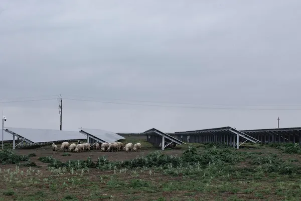 In and out of focus—photos of the Hungarian edgelands
